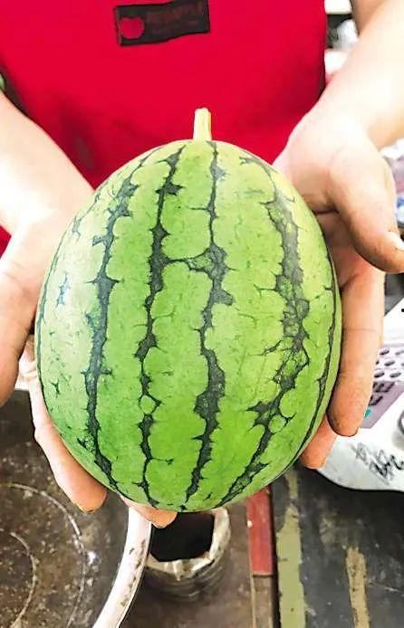 青岛的网红吃瓜事件,揭秘网络舆论的风暴与真相