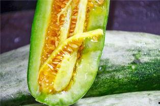 哪个网红有瓜吃